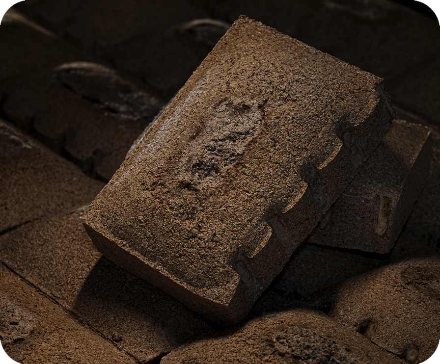 888.BY集团电子游戏(中国)有限公司官网