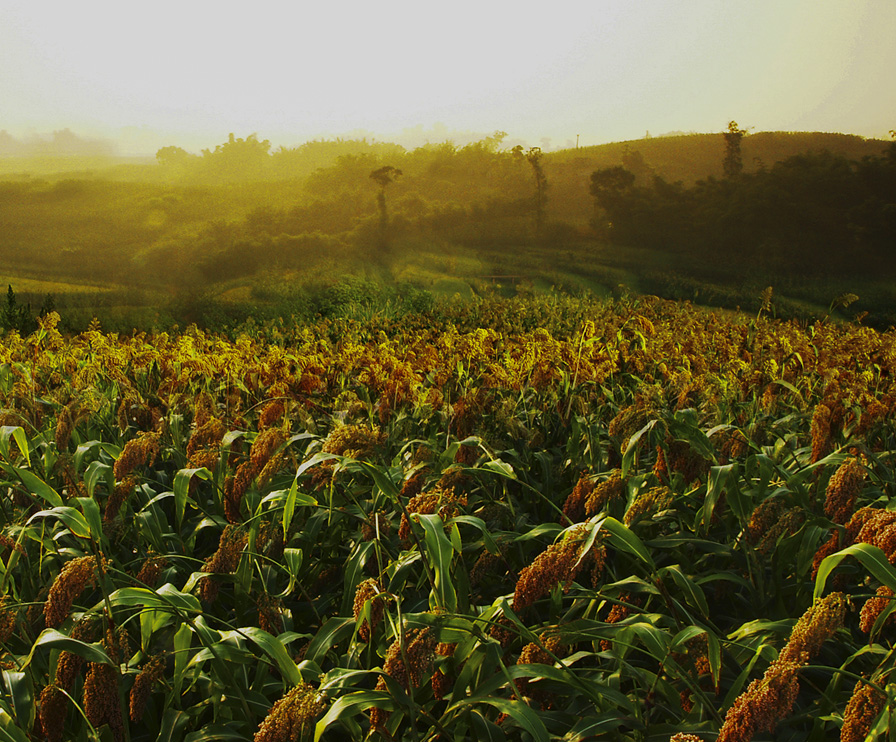 888.BY集团电子游戏(中国)有限公司官网